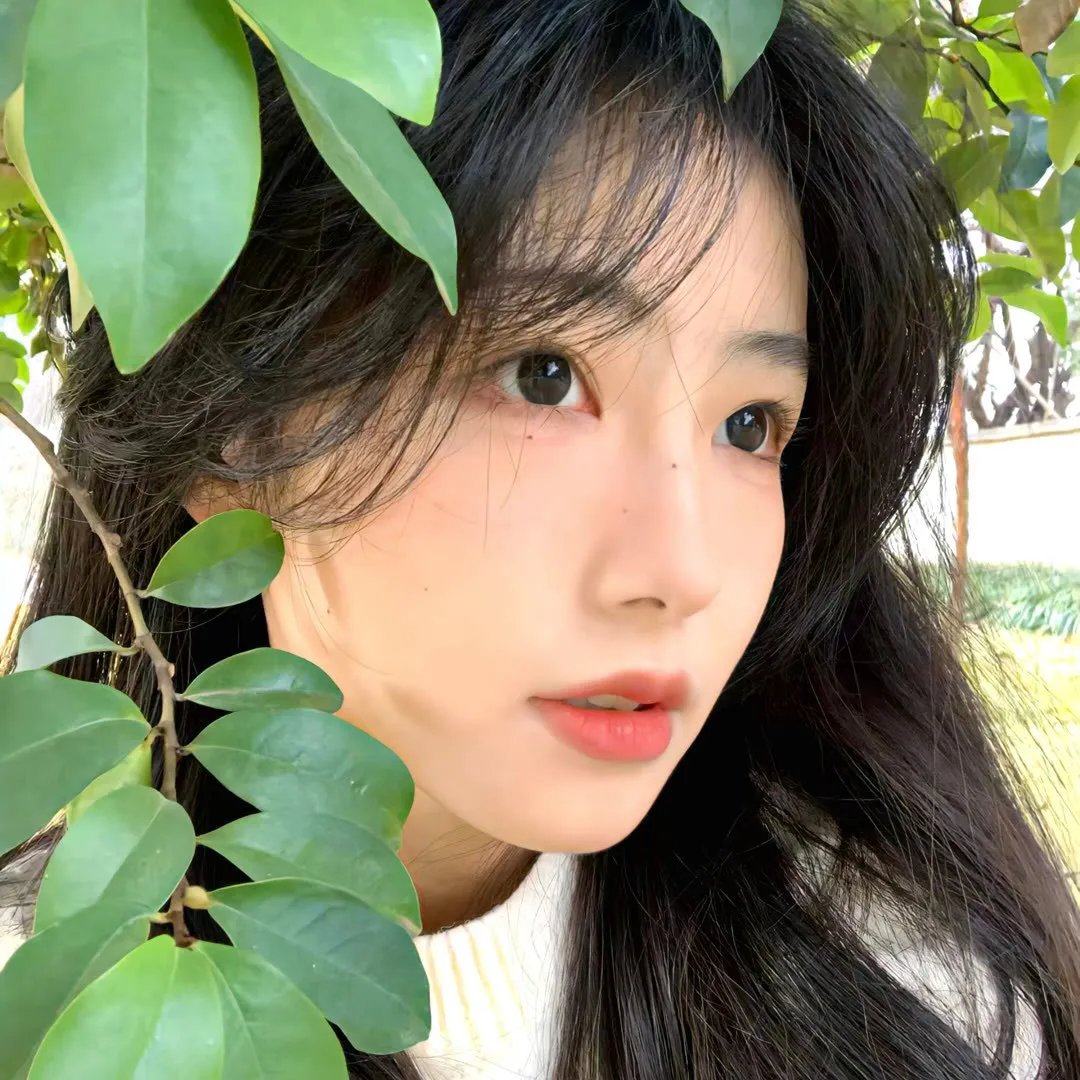 遇见波莉